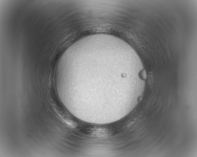 X0000067840741200605041649