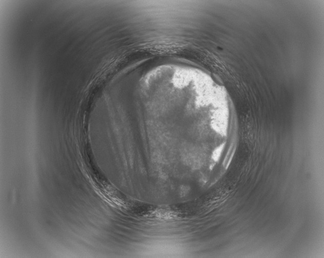 X0000067840742200605041649