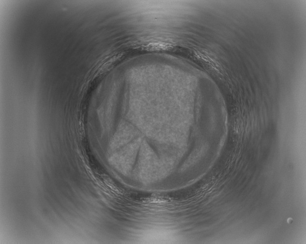 X0000067840743200605041649