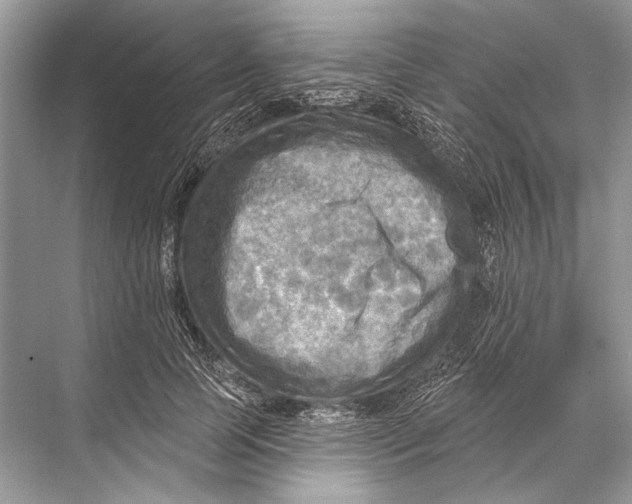 X0000067840745200605041649