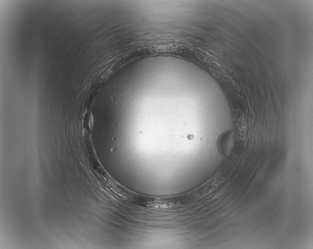 X0000067840746200605041649