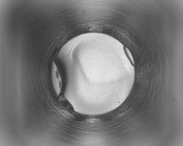 X0000067840748200605041649