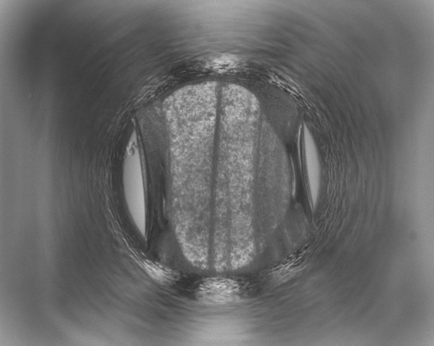 X0000067840750200605041649