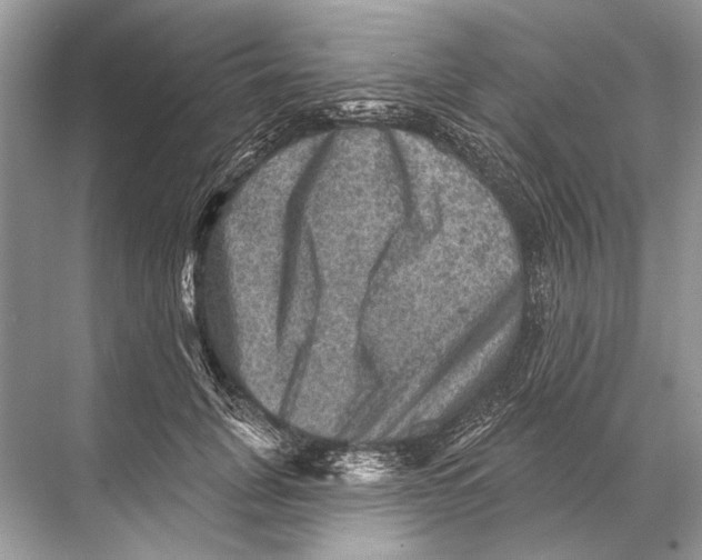 X0000067840751200605041649