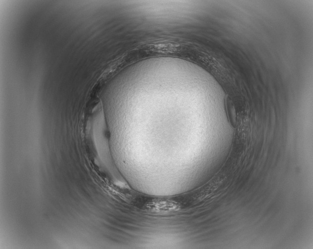 X0000067840752200605041649