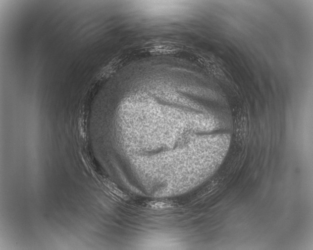 X0000067840755200605041649