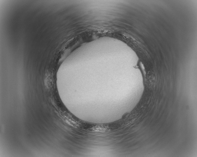 X0000067840756200605041649