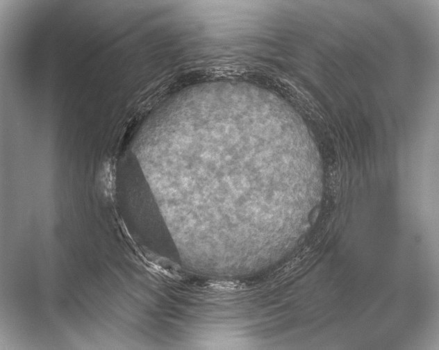 X0000067840757200605041649