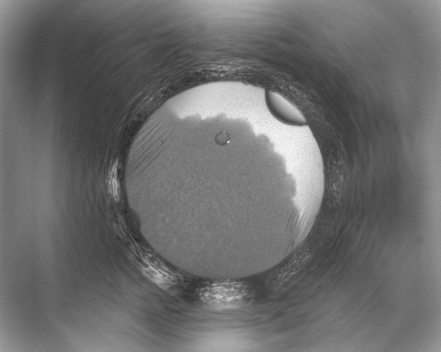 X0000067840758200605041649