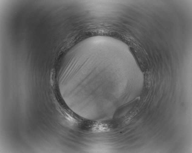 X0000067840760200605041649