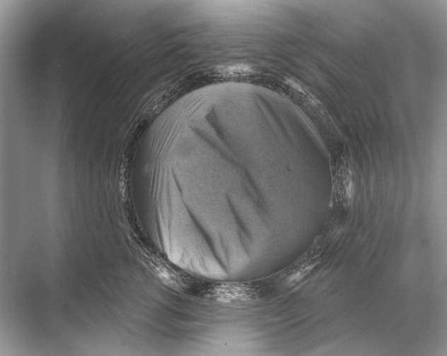 X0000067840762200605041649