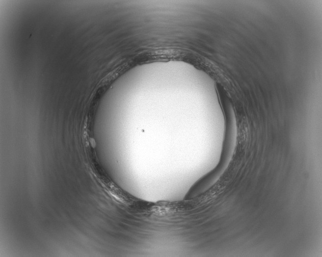 X0000067840764200605041649