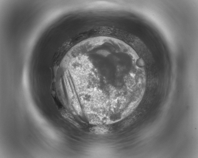 X0000067840765200605041649