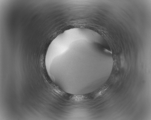 X0000067840767200605041649