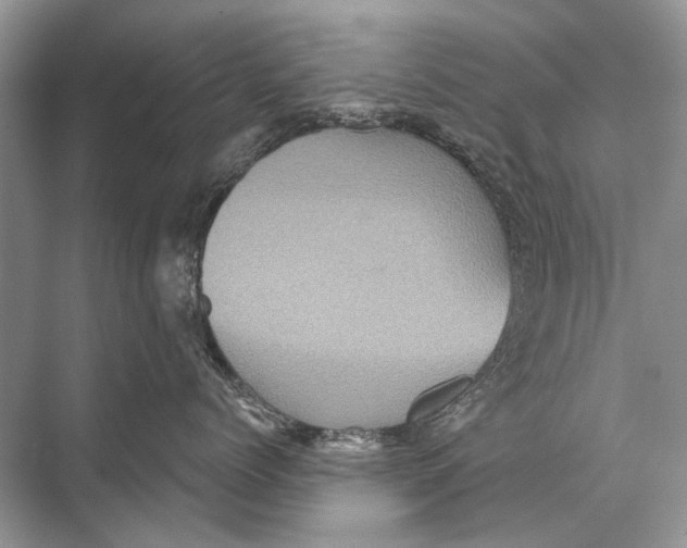 X0000067840768200605041649