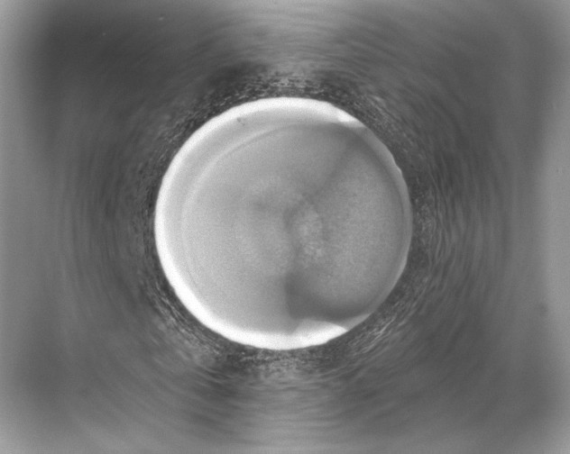 X0000067840769200605041648