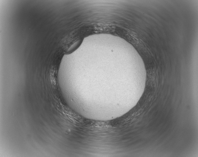 X0000067840770200605041648