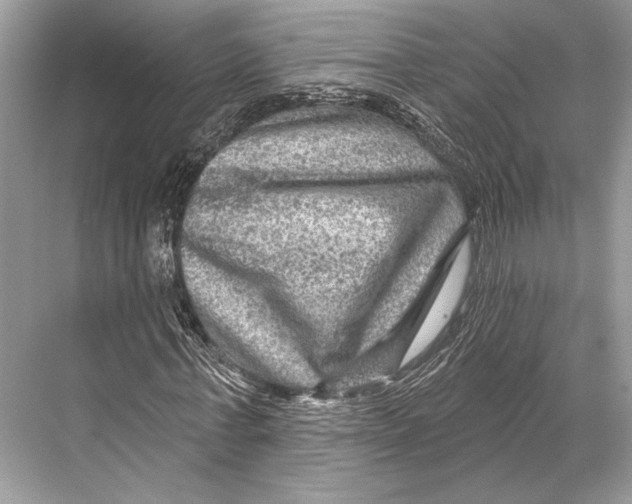 X0000067840771200605041648