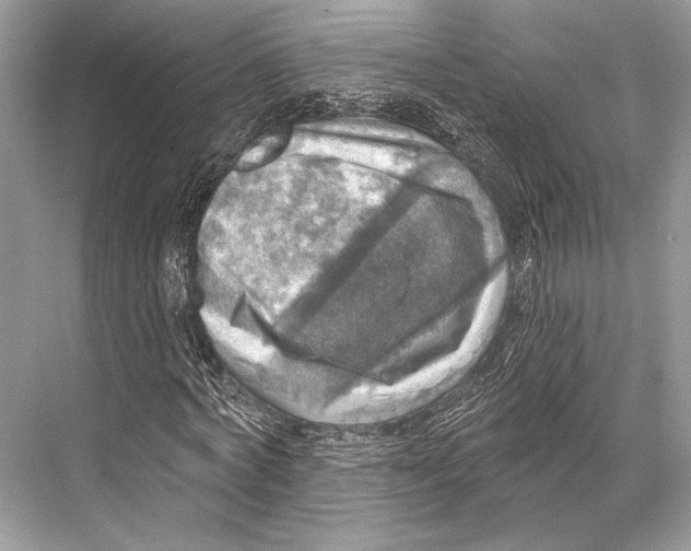 X0000067840772200605041648