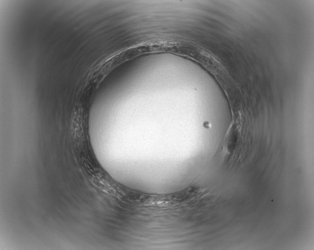 X0000067840773200605041648