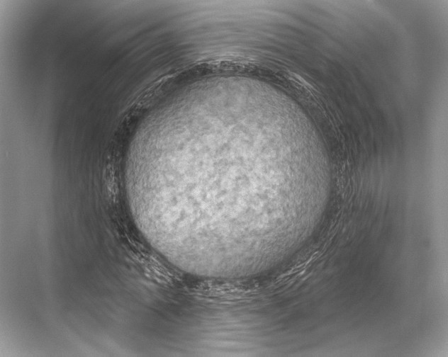 X0000067840774200605041648