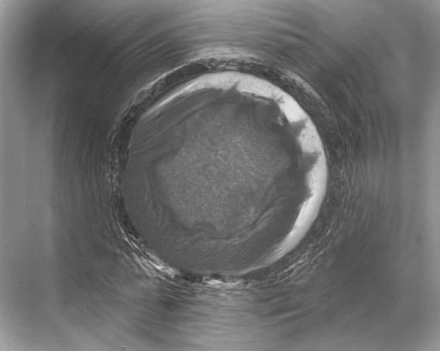 X0000067840775200605041648