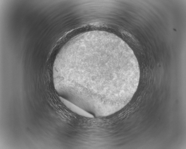 X0000067840776200605041648