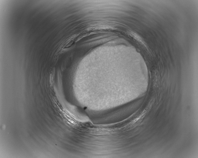 X0000067840777200605041648