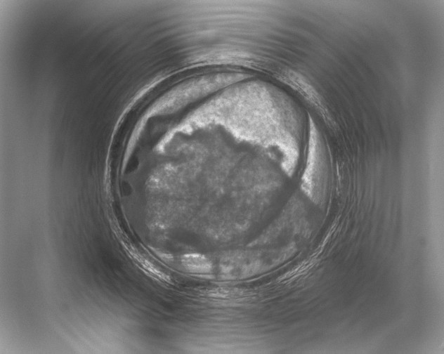 X0000067840780200605041648