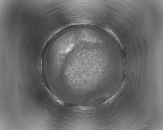 X0000067840781200605041648