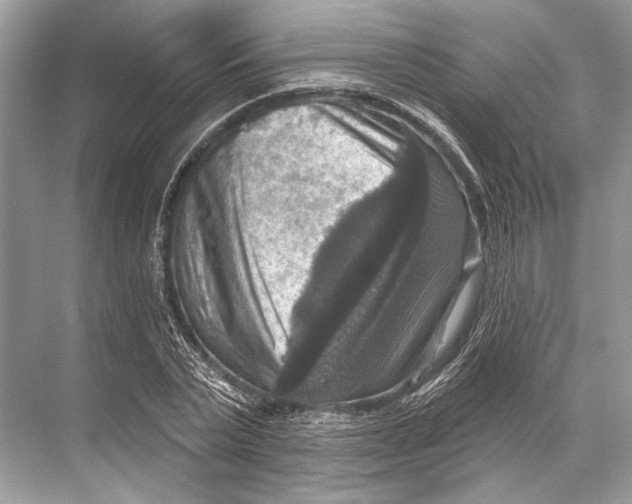 X0000067840783200605041648