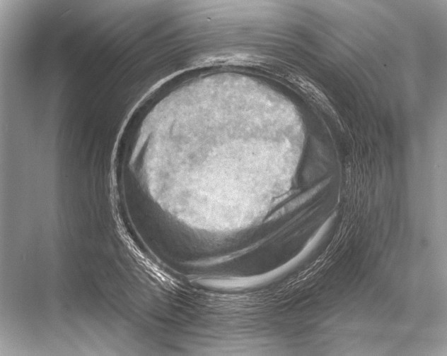 X0000067840784200605041648