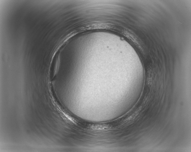 X0000067840786200605041648