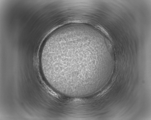 X0000067840787200605041648