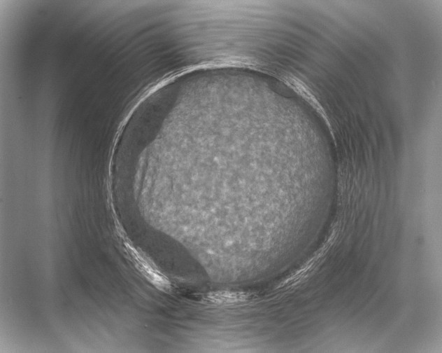 X0000067840789200605041648