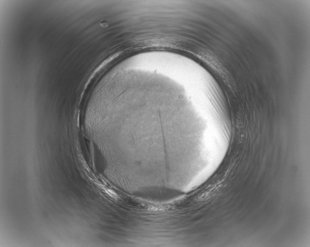 X0000067840790200605041648