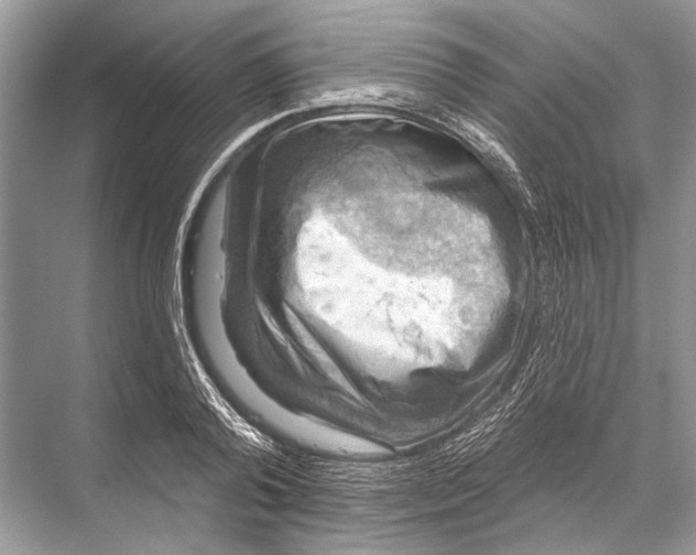 X0000067840792200605041648