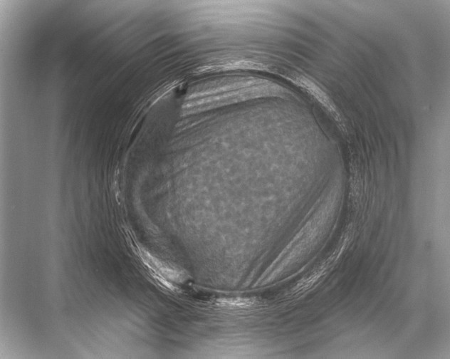 X0000067840793200605041648