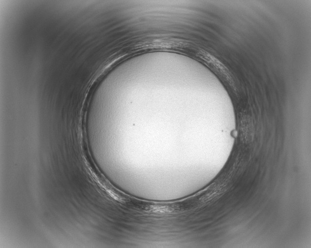 X0000067840794200605041648