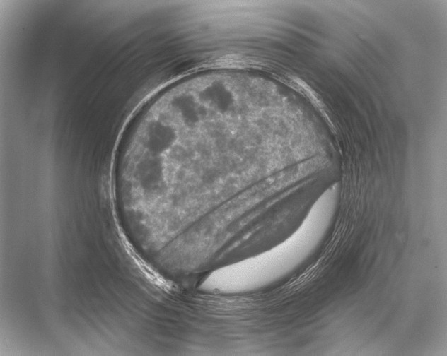 X0000067840795200605041648