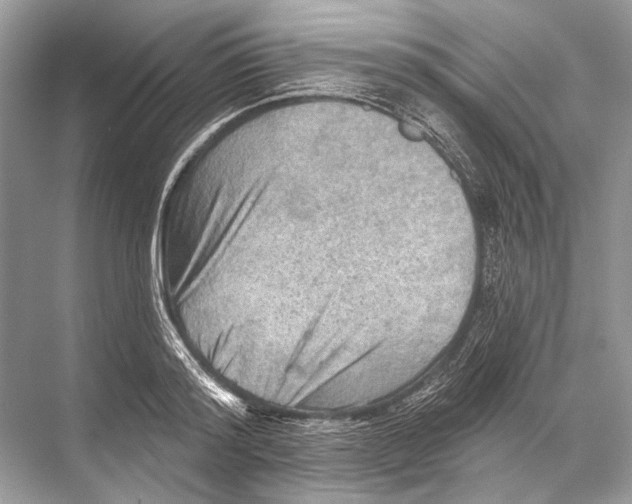 X0000067840796200605041648