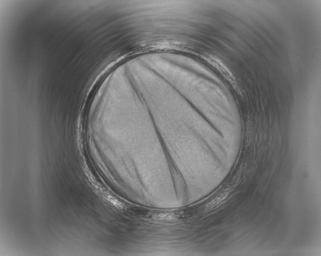 X0000067840798200605041648