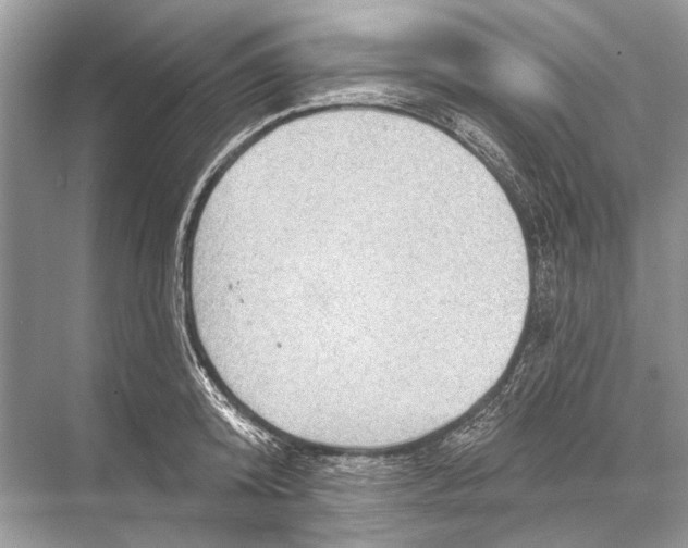 X0000067840800200605041648