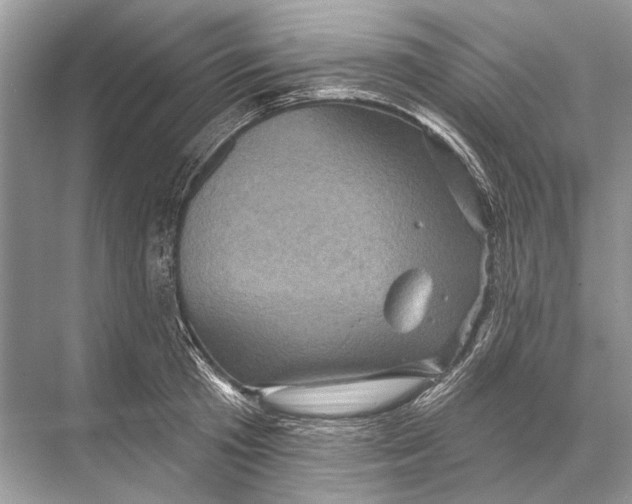 X0000067840801200605041648