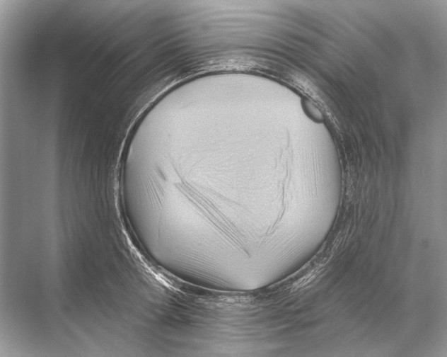 X0000067840802200605041648