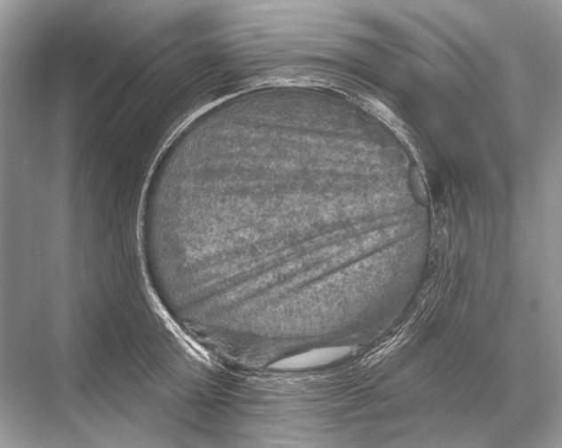 X0000067840803200605041648