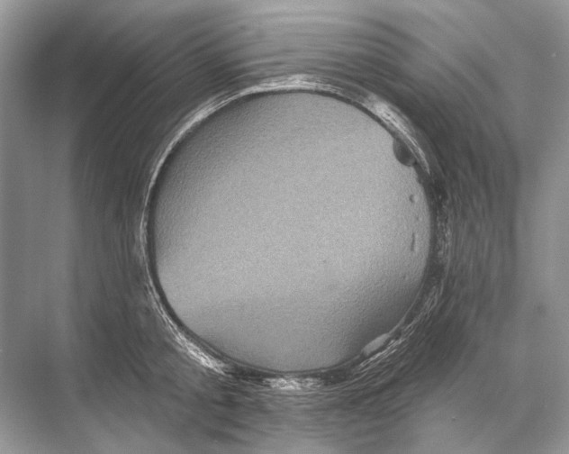 X0000067840805200605041648