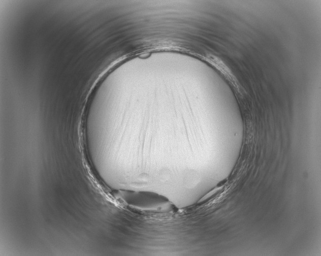 X0000067840806200605041648