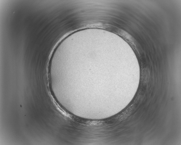 X0000067840808200605041648