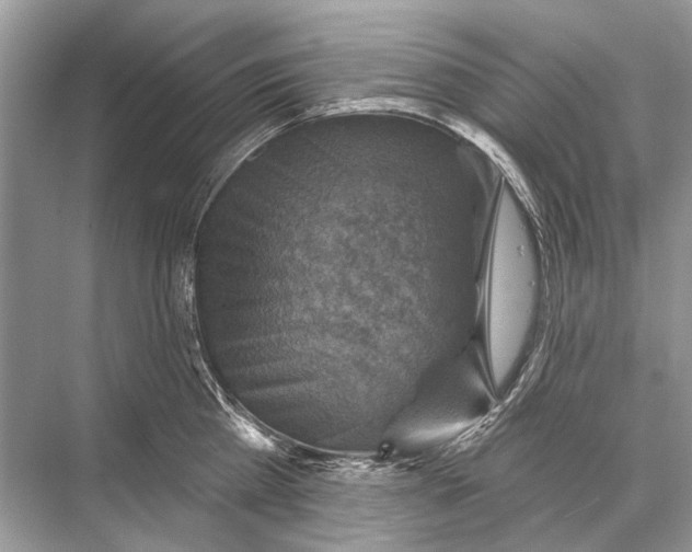 X0000067840809200605041648